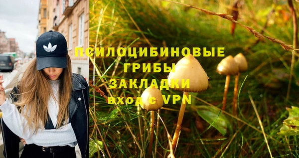 ECSTASY Дмитриев