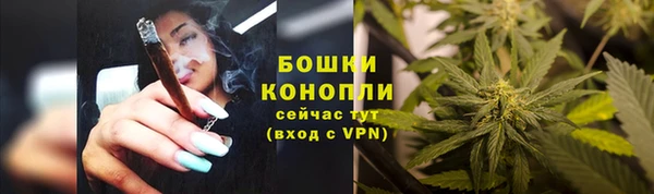 ECSTASY Дмитриев