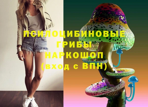 мяу мяу мука Дмитров