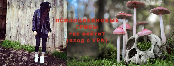 мяу мяу мука Дмитров