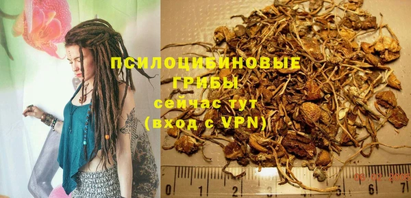 ECSTASY Дмитриев